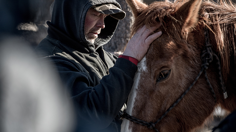Vadlovak Nyugat-Kanadában és a cowboy-ok, akik vásárra viszik értük a bőrüket