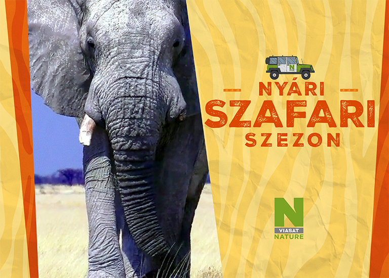 Nyári szafari a Viasat Nature csatornán