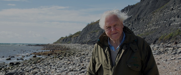Sir David Attenborough két lenyűgöző dokumentumfilmmel is visszatér a Viasat Nature műsorára