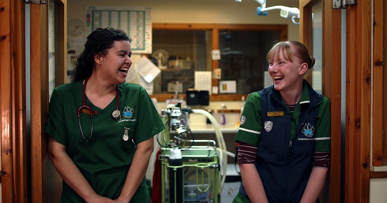 A felföldi állatorvos: Élet a lehetőségek határán