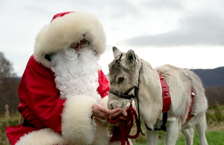 Varázslatos Karácsony a Viasat Nature csatornán