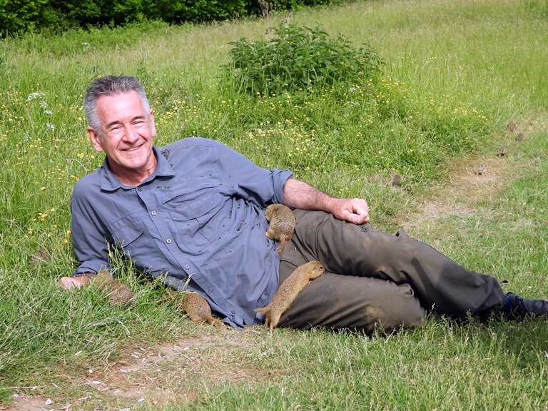 Vad Szlovákia Nigel Marvennel