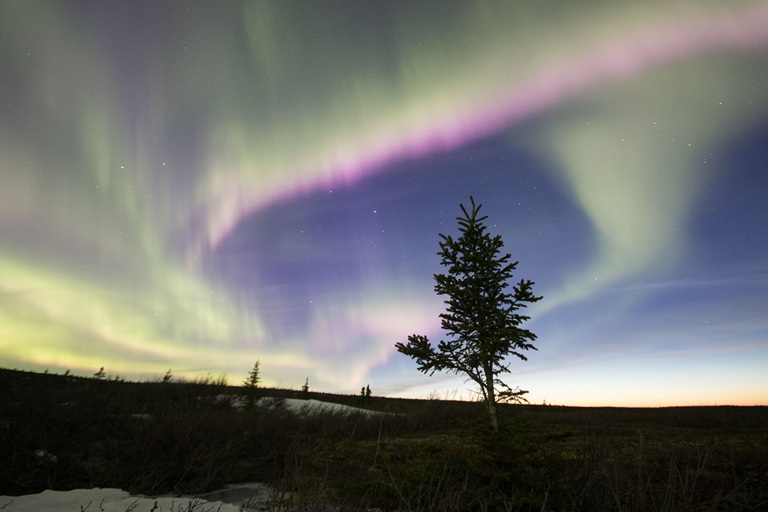 Föld napi műsorfolyammal készül a Viasat Nature természetcsatorna