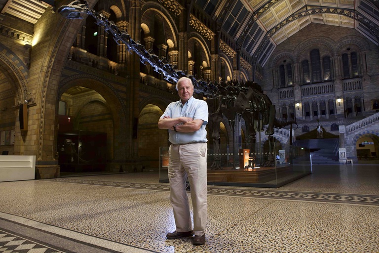 A csodák évszázada: ünnepeljük együtt Sir David Attenborough 100. születésnapját